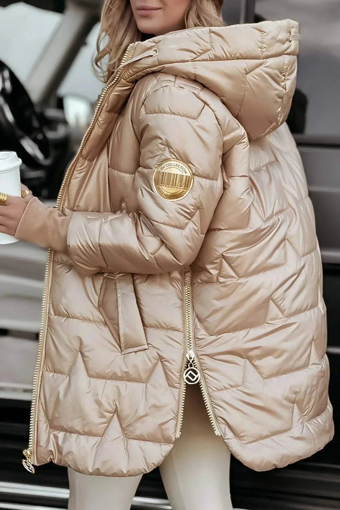 Insulated Hooded Puffer Jacket with Zip Front and Quilted Design